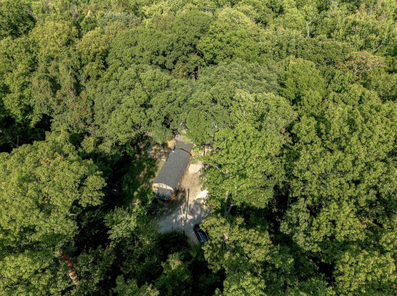 Full Service Listing